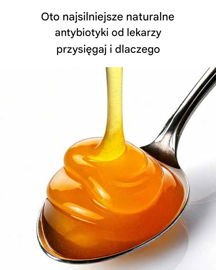 Nie miałem o tym pojęcia