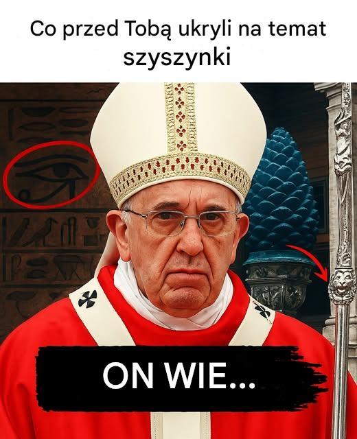 Co przed Tobą ukryli na temat szyszynki