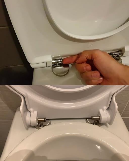 Jak czyścić deskę sedesową?V