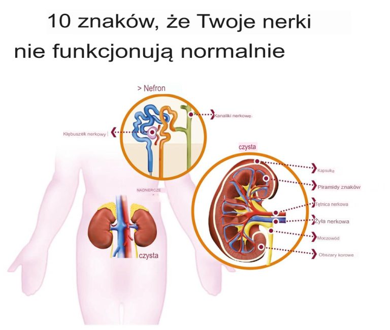 10 oznak, że Twoje nerki nie funkcjonują prawidłowo