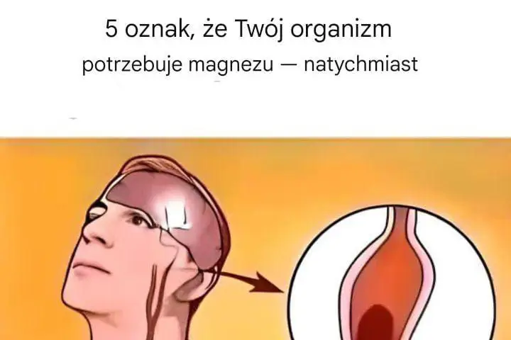 Ale 5 typowych misek ma pokrywę magnezową