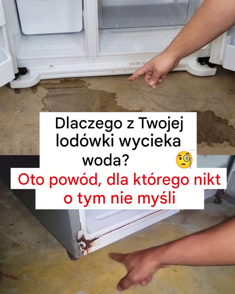 Dlaczego z lodówki leci woda?