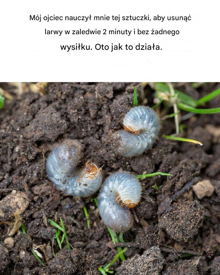 Super! Szkoda, że ​​nie przeczytałem tego wcześniej!