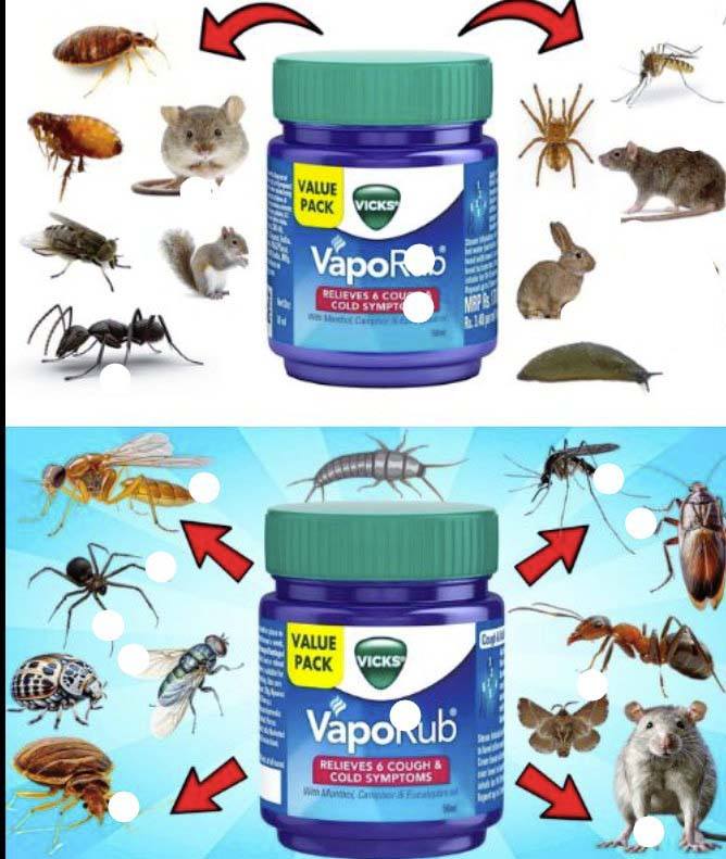 7 korzyści stosowania Vicks Vaporub