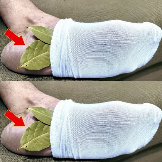 Umarłbym nie wiedząc! Połóż liść laurowy na stopach – przestań wydawać pieniądze na targu!