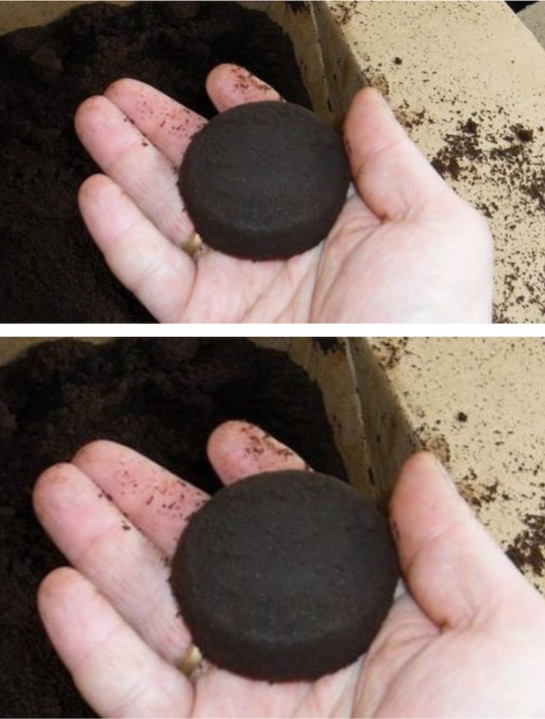 Nie wyrzucaj fusów po kawie. 7 nieoczekiwanych sposobów na jego wykorzystanie