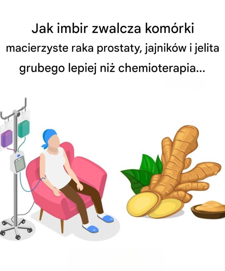 Jak imbir działa na komórki macierzyste raka prostaty, jajników i jelita grubego lepiej niż chemioterapia