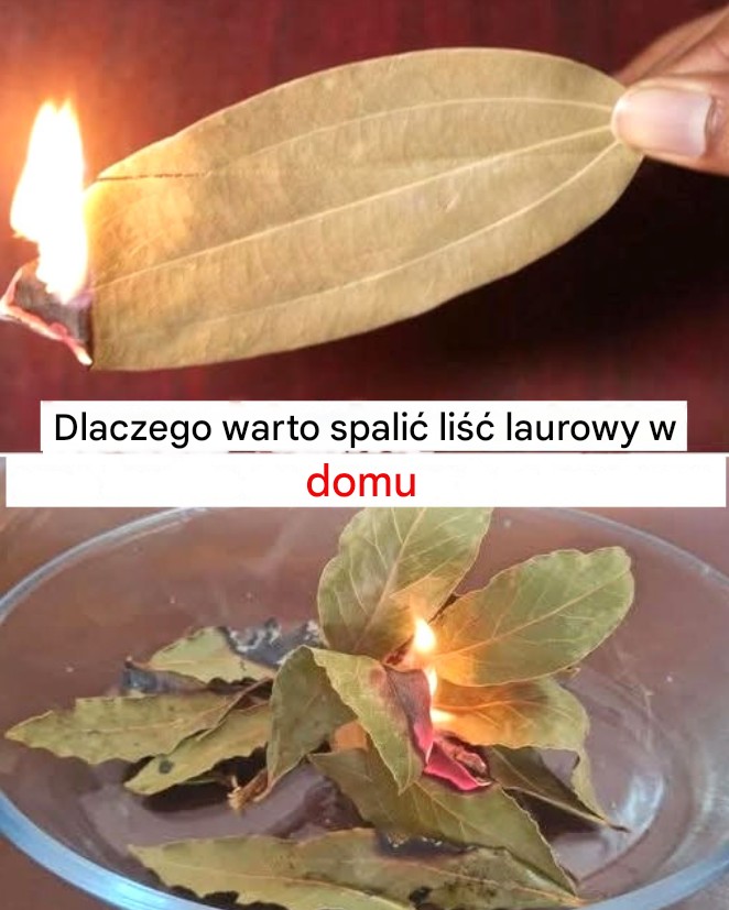 Dlaczego warto palić liść laurowy w domu?