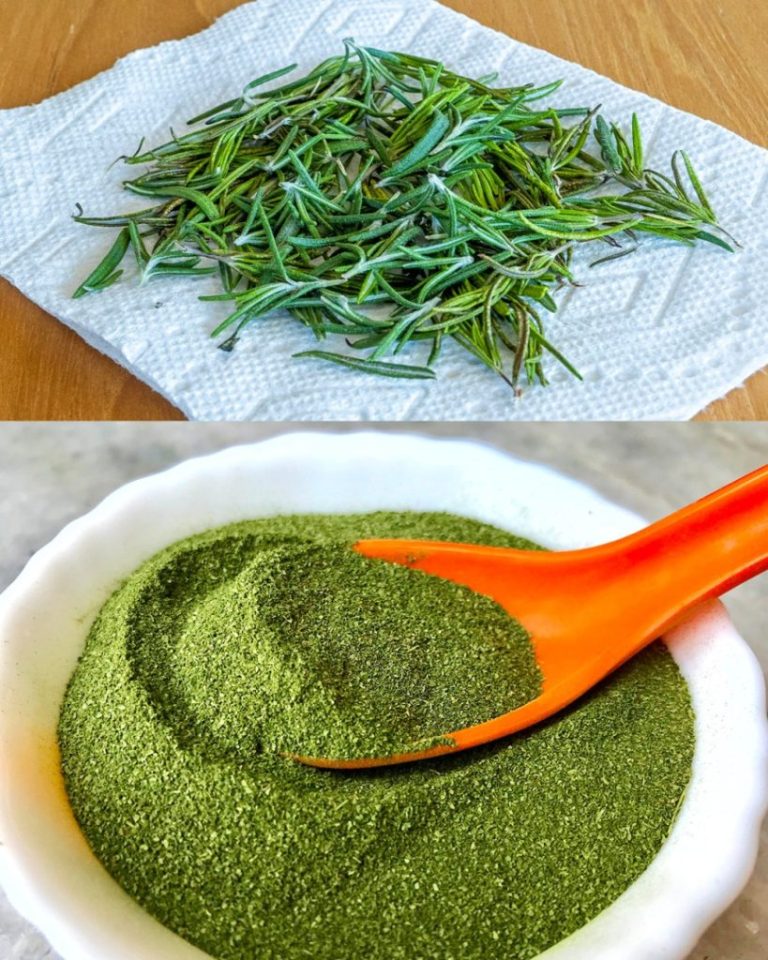 Bardzo prosta metoda, dzięki której zawsze będziesz mieć pod ręką aromatyczne zioła