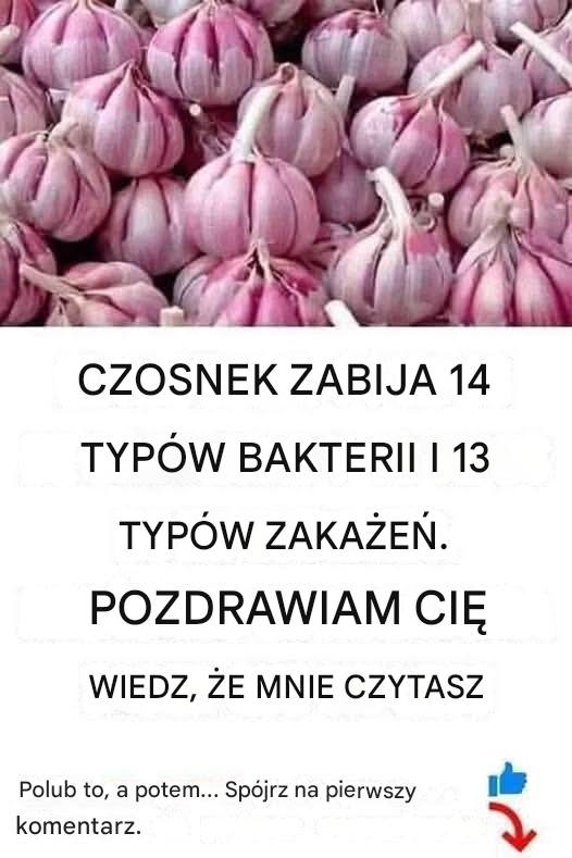 Właściwości czosnku
