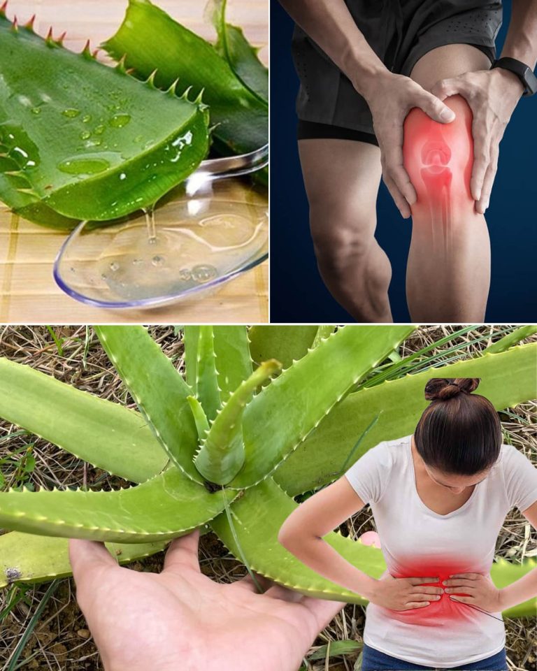 Jeśli cierpisz na którykolwiek z tych 16 problemów zdrowotnych, aloes może być dla Ciebie naturalnym rozwiązaniem