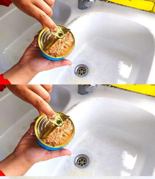 Z tego powodu ważne jest, aby nie wylewać oleju z tuńczyka w puszce do odpływu.