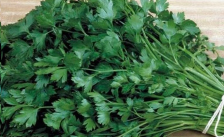 Oczyszcza naczynia krwionośne, stawy i wątrobę