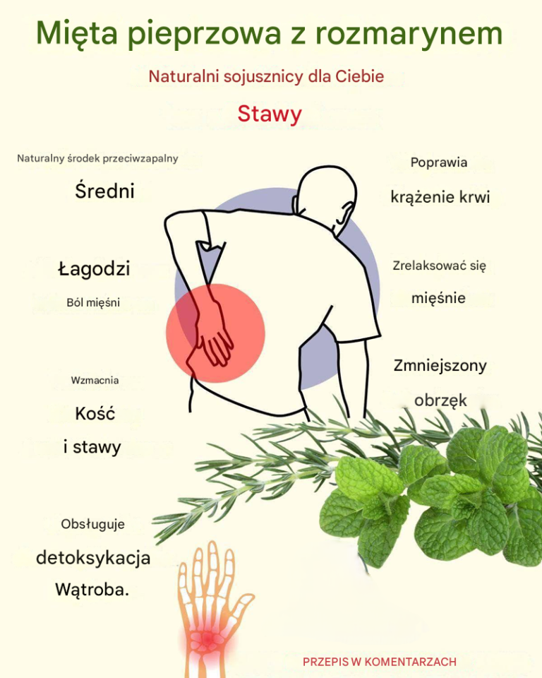 Mięta pieprzowa z rozmarynem: naturalne połączenie dla regeneracji chrząstki i wzmocnienia stawów