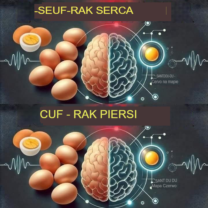 Nigdy nie jedz jajek z „tym jednym”, który powoduje raka i demencję! 3 najlepsze i najgorsze przepisy