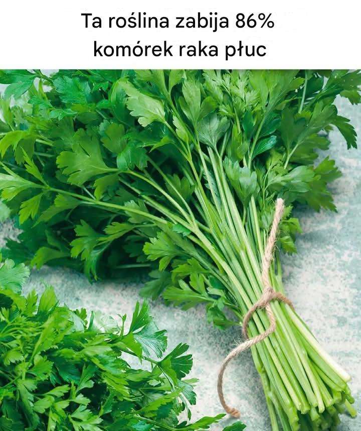 Ta roślina zabija 86% komórek raka płuc