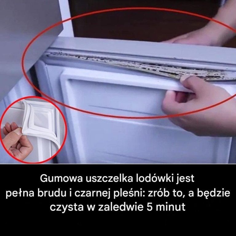 Jak wyczyścić gumową uszczelkę lodówki?