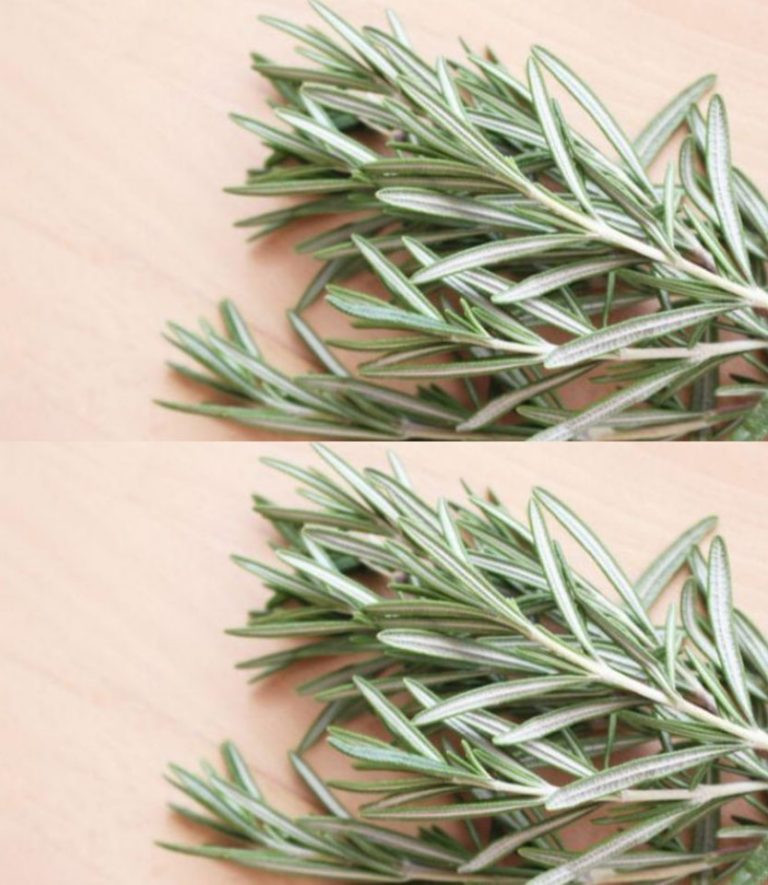 Umieść gałązkę rozmarynu w tym miejscu kuchni, a rozwiążesz duży problem.