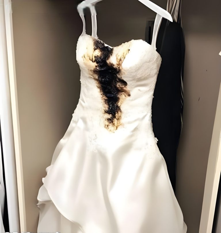 Znalazłam swoją suknię ślubną zniszczoną żelazkiem – byłam w szoku, gdy dowiedziałam się, kto to zrobił, a moja zemsta była surowa