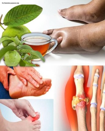 Liście guawy na zatrzymanie wody: naturalny środek, który naprawdę działa