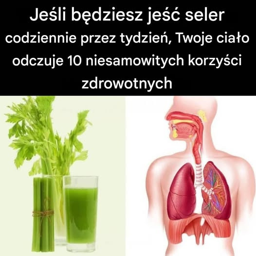 Co się dzieje z Twoim ciałem, gdy jesz seler codziennie przez tydzień