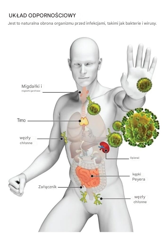 Masz osłabiony układ odpornościowy? Ten napój może go wzmocnić.