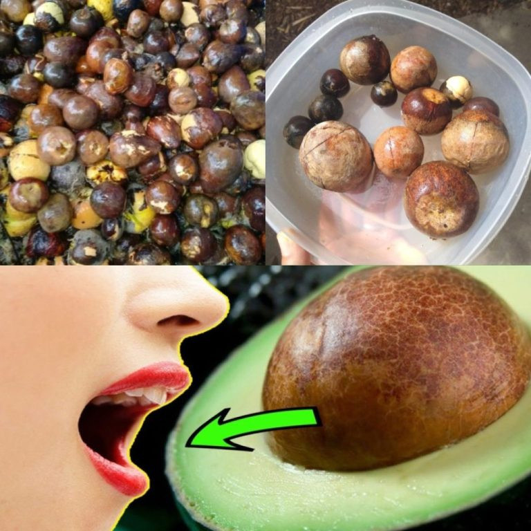 Co się dzieje, gdy jesz pestki awokado?